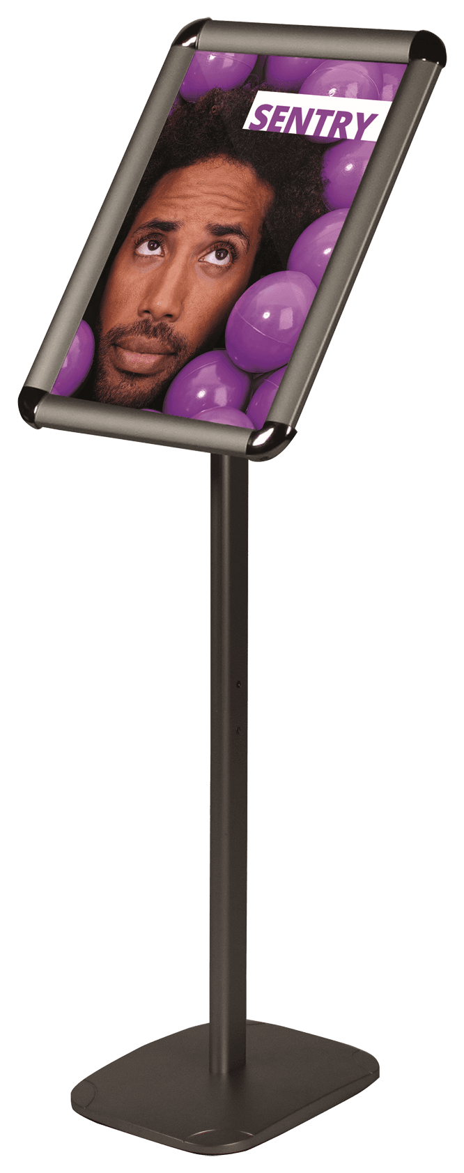 Sentry