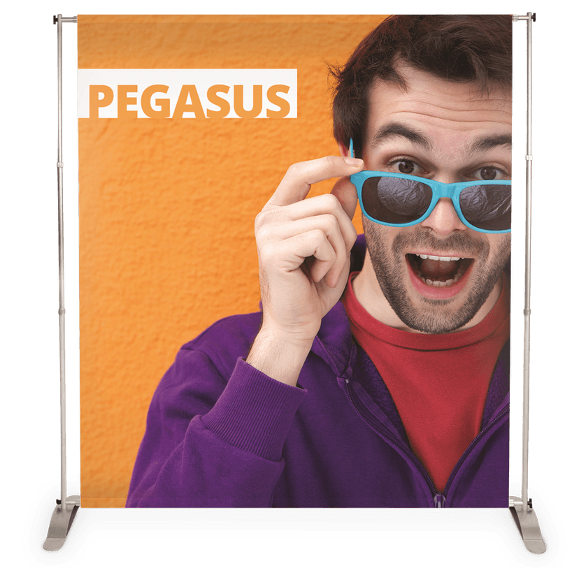 Pegasus