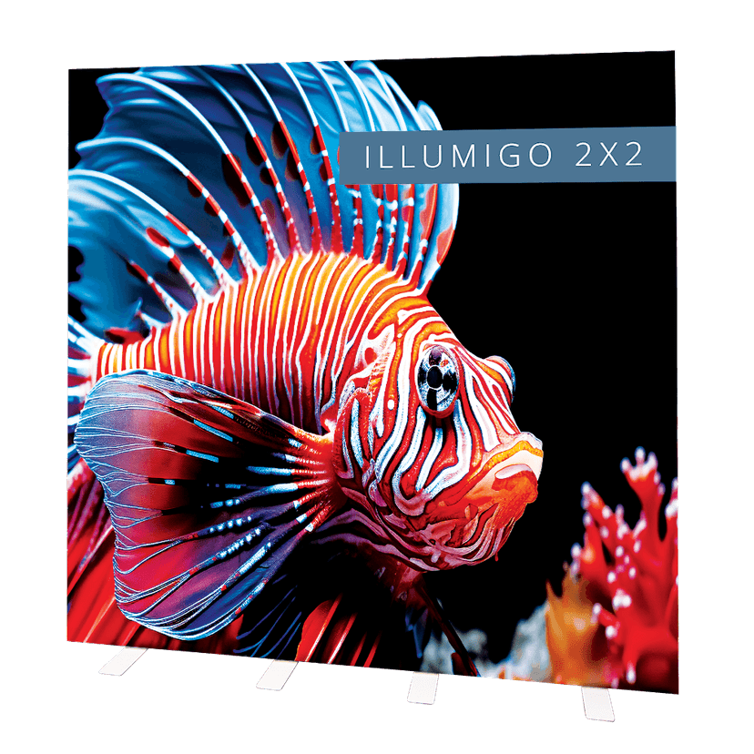 Illumigo 2X2
